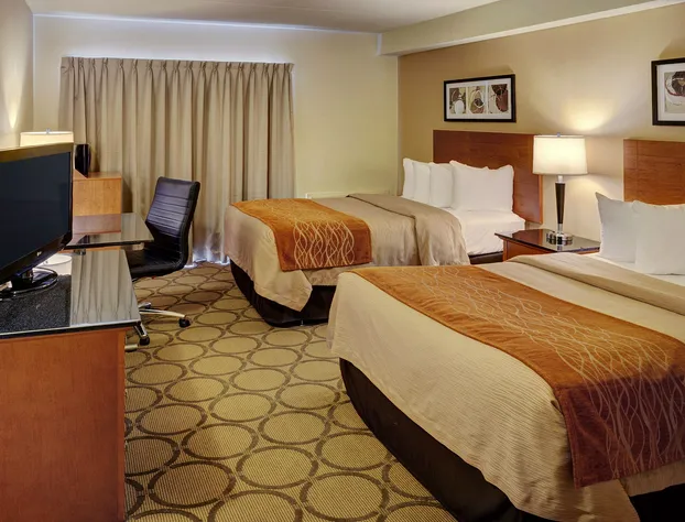 Comfort Inn hotel detail image 3