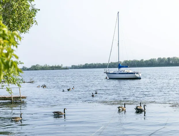 Motel Rideau hotel detail image 1