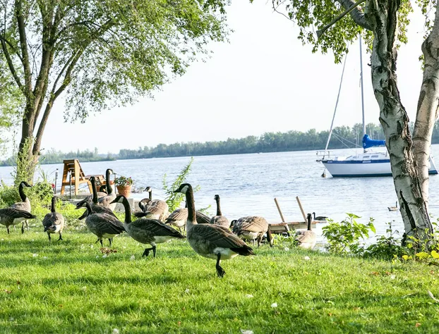 Motel Rideau hotel detail image 2