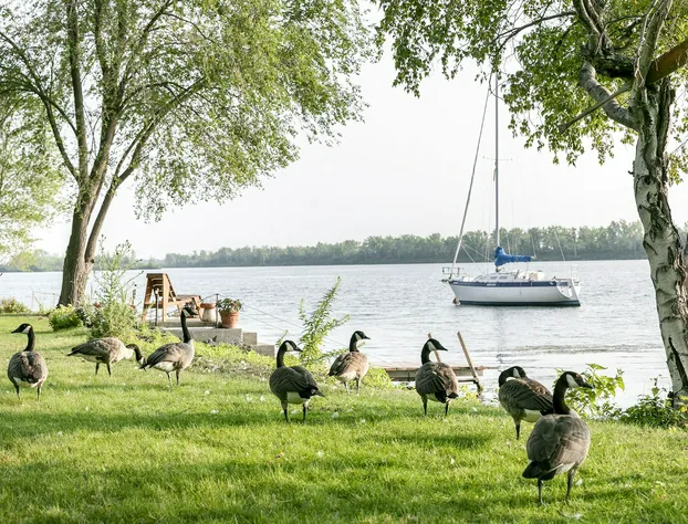 Motel Rideau hotel detail image 4