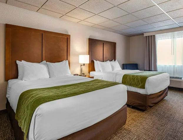 Comfort Inn & Suites Gateway to Glacier National Park hotel detail image 4