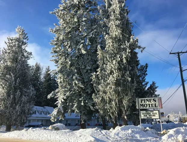 Pines Motel hotel detail image 3