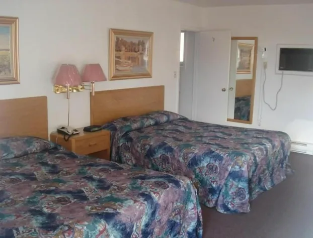 Satelite Motel hotel detail image 2