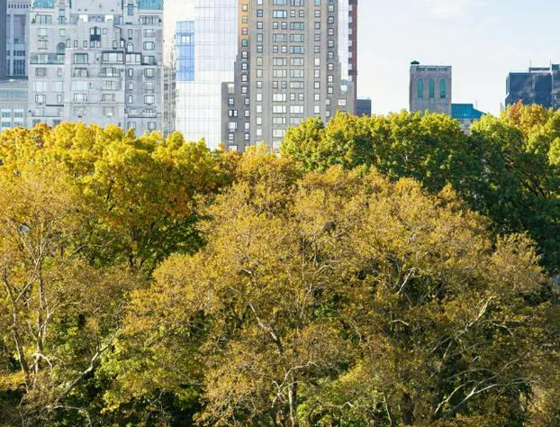 JW Marriott Essex House New York hotel detail image 2