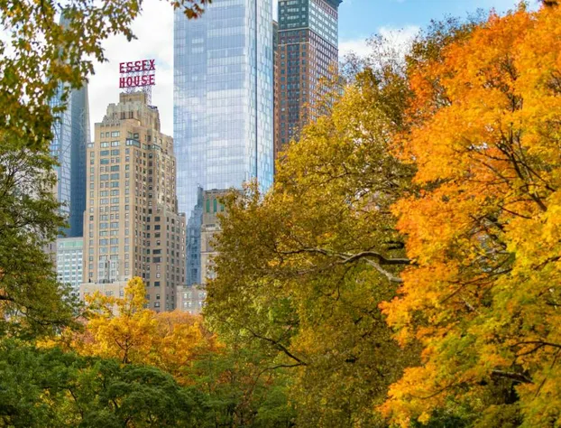 JW Marriott Essex House New York hotel detail image 1