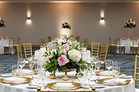 Sheraton Suites Chicago O'Hare hotel hero