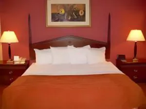 Holiday Inn Downtown Memphis by IHG hotel detail image 2