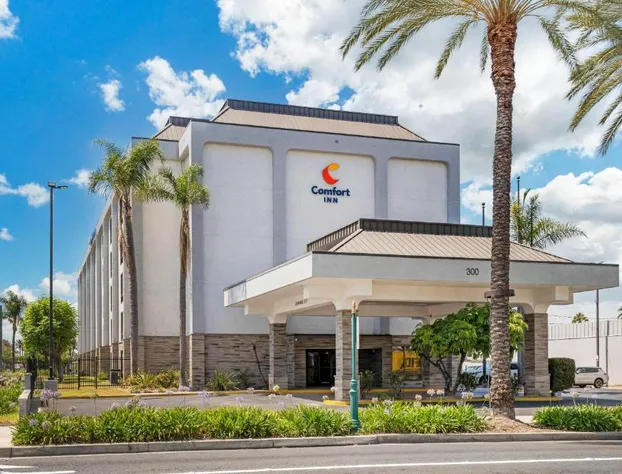 Comfort Inn Anaheim Resort hotel detail image 2