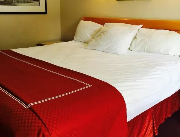 Downtown SuperInn hotel detail image 4