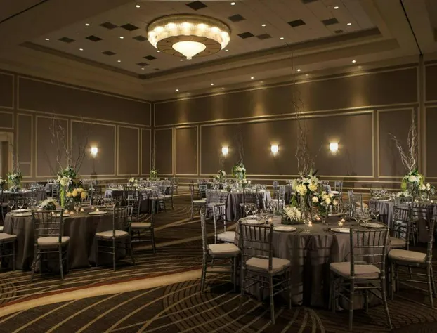 Renaissance Orlando at SeaWorld hotel detail image 3