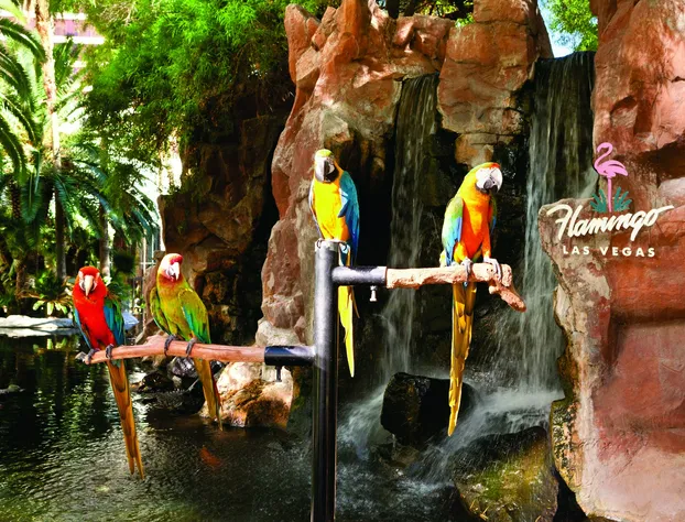 Flamingo Las Vegas Hotel & Casino hotel detail image 3