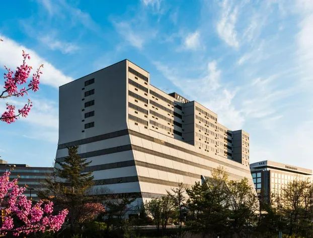 APA Hotel Woodbridge hotel detail image 3