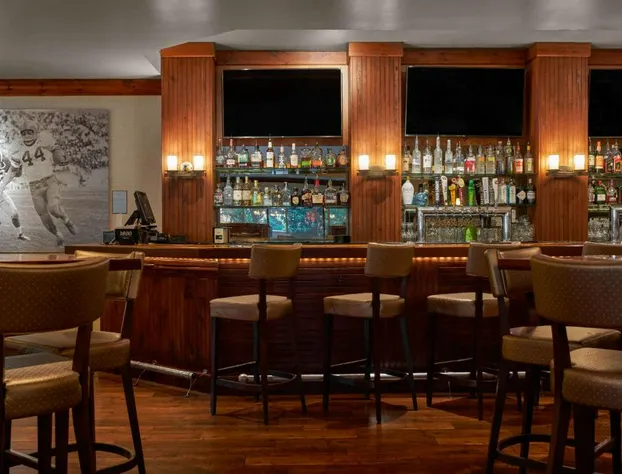 DoubleTree by Hilton Hotel Dallas – Love Field hotel detail image 3