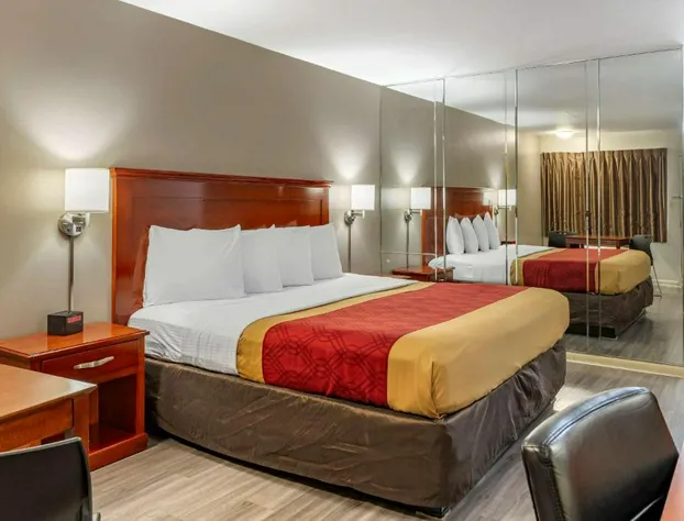 Econo Lodge Charlottesville North - University Area hotel detail image 4