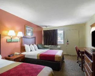 Econo Lodge North hotel detail image 3