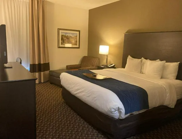 Comfort Inn Wings Stadium hotel detail image 1