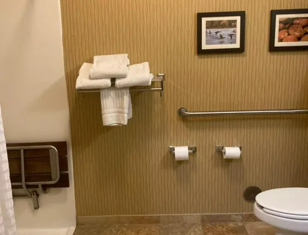 Comfort Inn Wings Stadium hotel detail image 2