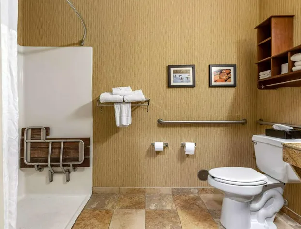 Comfort Inn Wings Stadium hotel detail image 3
