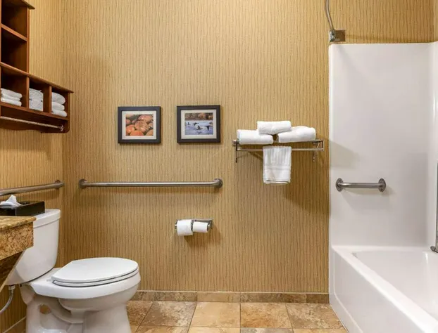 Comfort Inn Wings Stadium hotel detail image 4