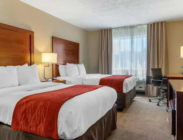 Comfort Inn Albuquerque Airport hotel detail image 4