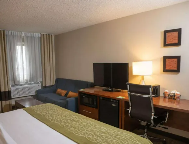 Comfort Inn & Suites Erie - Splash Lagoon Indoor Waterpark hotel detail image 4