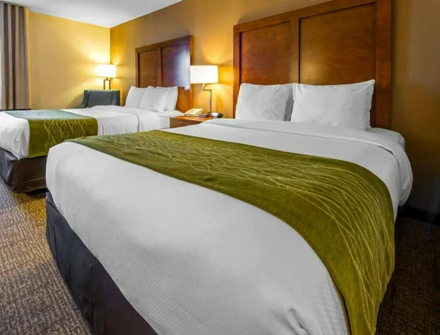 Comfort Inn & Suites Erie - Splash Lagoon Indoor Waterpark hotel detail image 4