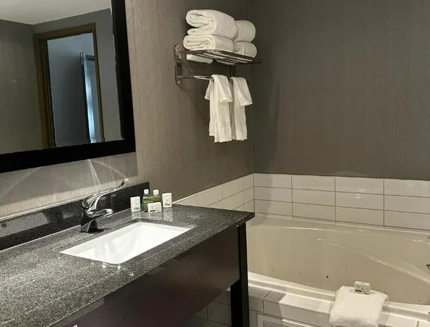 Ramada Plaza by Wyndham Niagara Falls hotel detail image 4