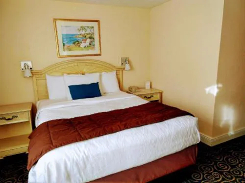 Tiki Resort hotel detail image 2