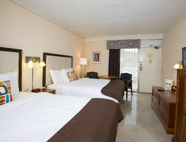 Tiki Resort hotel detail image 4