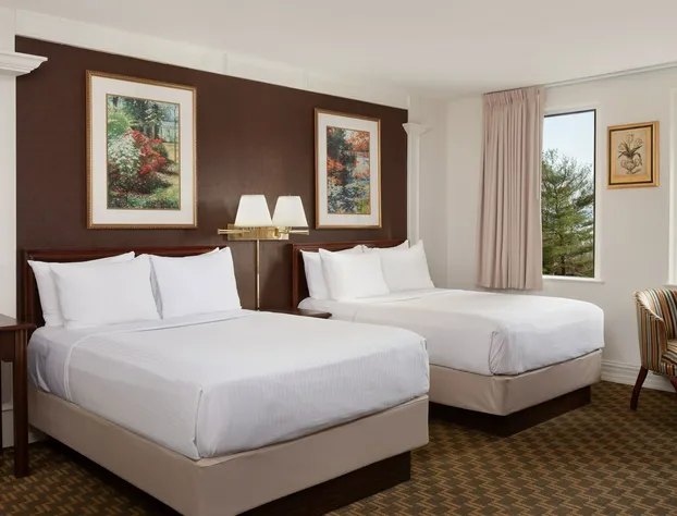 The Albion Summit hotel detail image 2