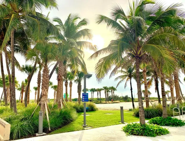 Broadmore Miami Beach hotel detail image 4