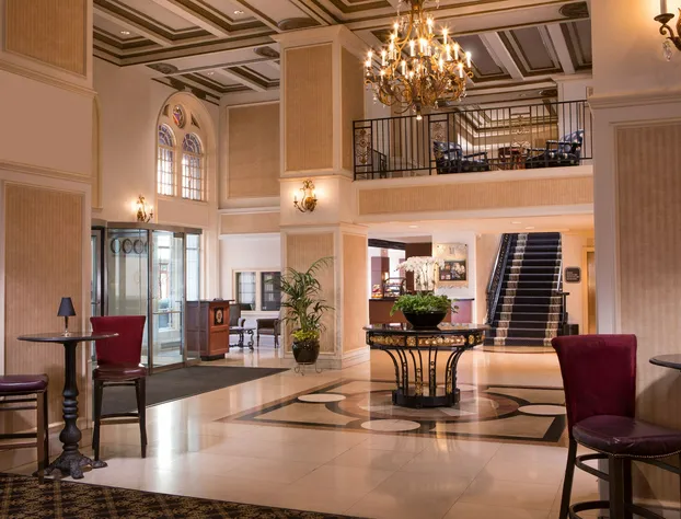 Millennium Knickerbocker Chicago hotel detail image 2