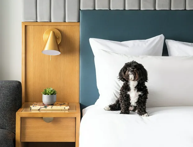 Hotel 55 Chicago Downtown hotel detail image 3