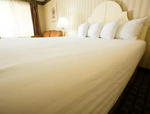 Anaheim Carriage Inn hotel detail image 3