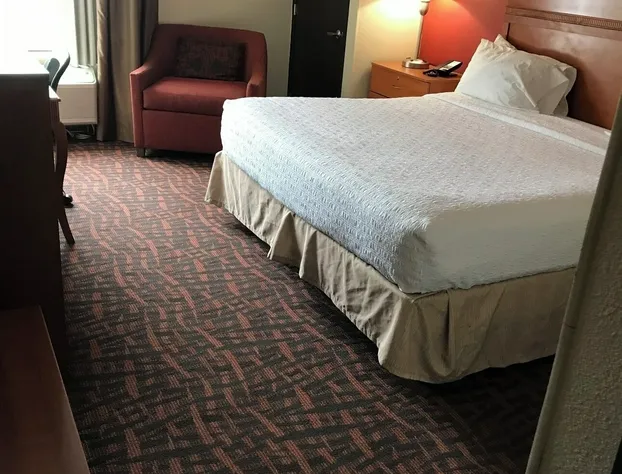 Spark by Hilton Dayton Fairborn hotel detail image 3