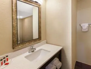 Baymont by Wyndham Downtown Detroit hotel detail image 2