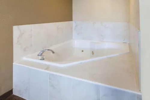 Baymont by Wyndham Downtown Detroit hotel detail image 3