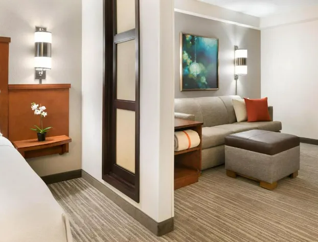 Hyatt Place Chicago/ Schaumburg hotel detail image 2