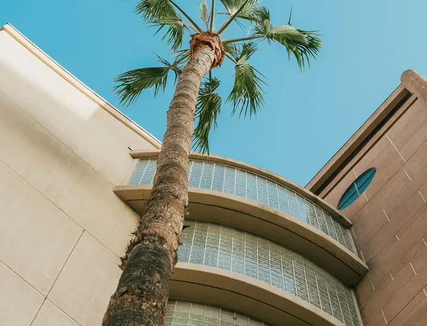 Courtyard by Marriott Los Angeles LAX/Century Boulevard hotel detail image 2