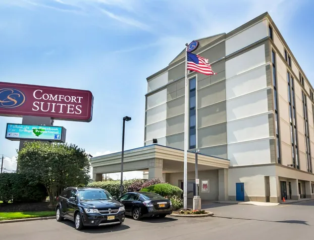 Comfort Suites at Woodbridge hotel detail image 2