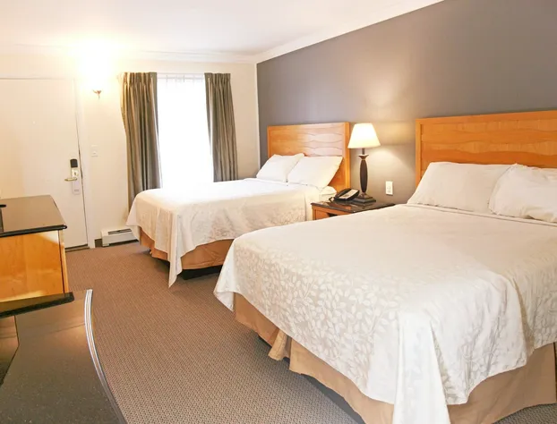 Moonlight Inn hotel detail image 4