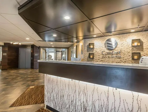 Comfort Inn & Suites Lexington - Hamburg I-75 hotel detail image 2