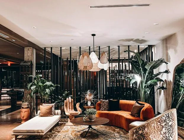 Yours Truly DC, Vignette Collection by IHG hotel detail image 4