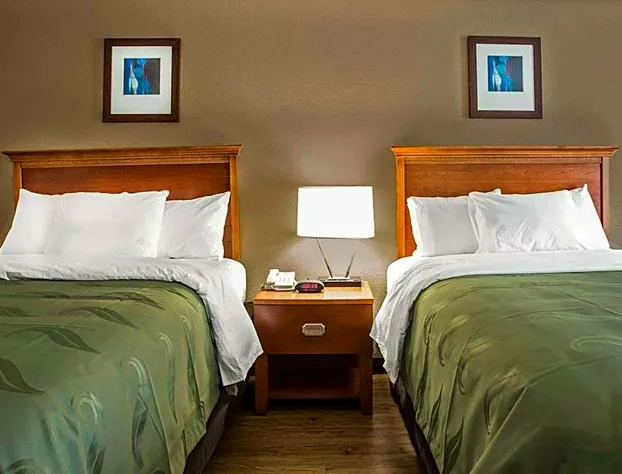 Quality Inn & Suites University Area hotel detail image 4