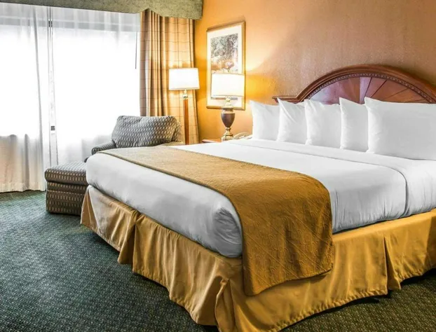 Quality Inn hotel detail image 4