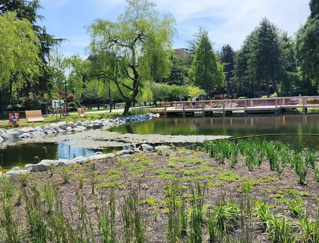 SureStay by Best Western Richmond Vancouver Airport hotel detail image 4