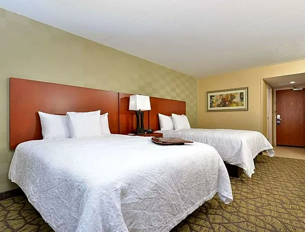 Hampton Inn Detroit/Auburn Hills South hotel detail image 4