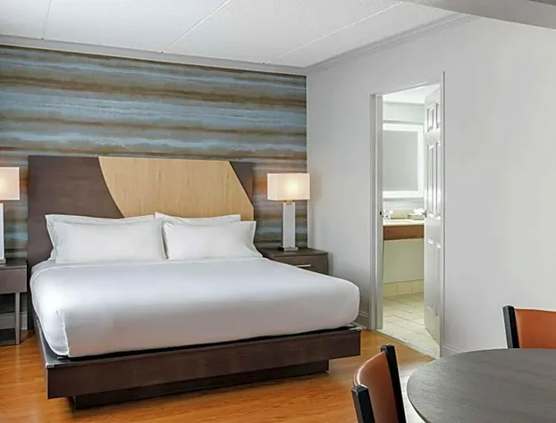 Hotel Trilogy Albany Airport, Tapestry Collection by Hilton hotel detail image 4