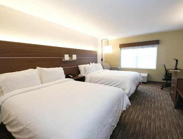 Holiday Inn Express Atlanta NE I-85 Clairmont by IHG hotel detail image 3