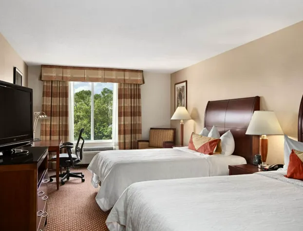 Hilton Garden Inn Chicago / Oak Brook hotel detail image 4